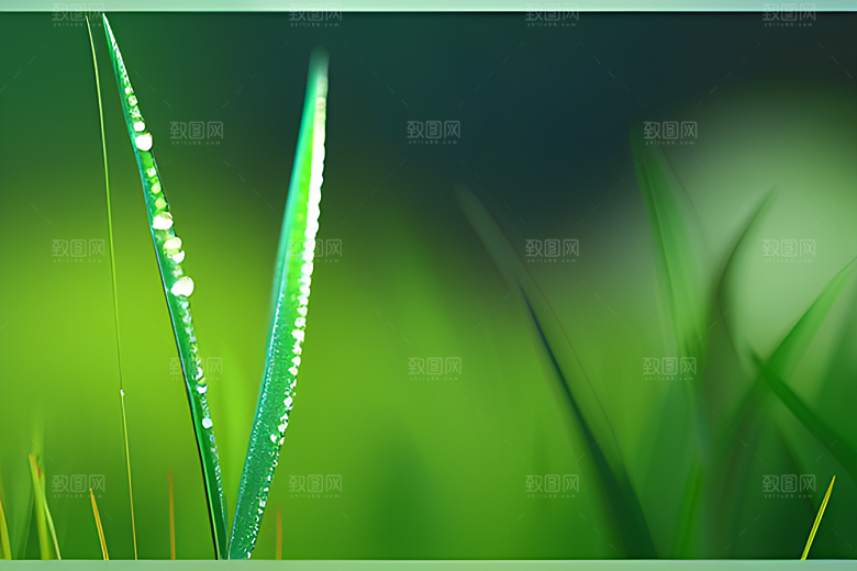 真实感十足的水滴在绿色背景下绽放