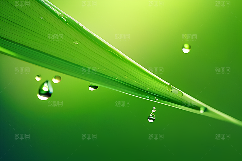 真实感十足的水滴在绿色背景下绽放