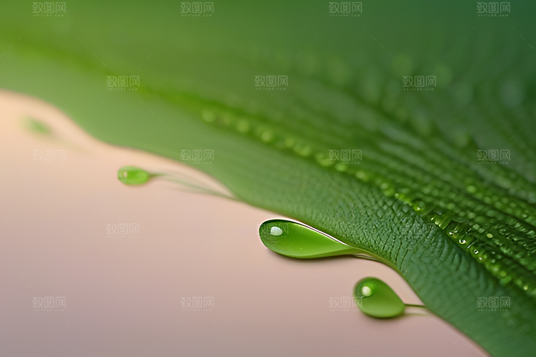 真实感十足的水滴在绿色背景下绽放