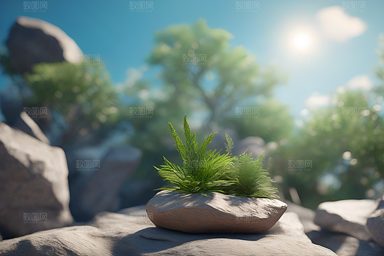 空白背景艺术摄影