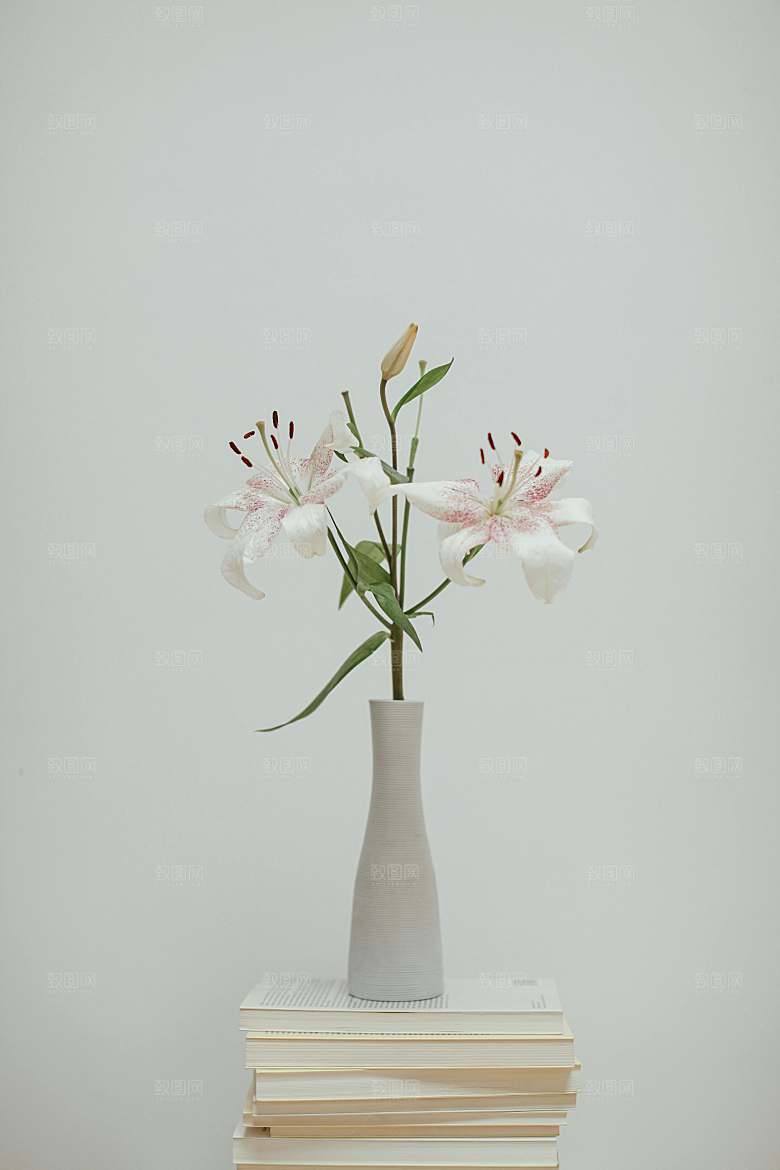 白色鲜花百合花摄影特写素材