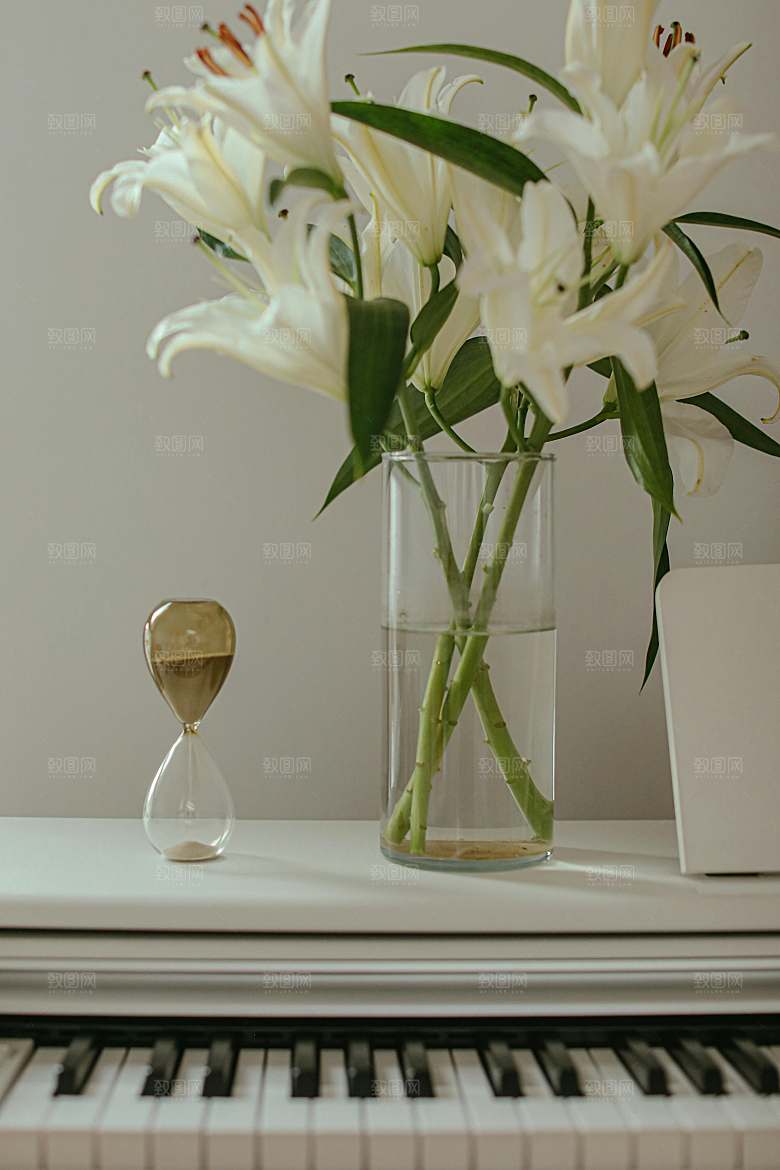 白色鲜花百合花摄影特写素材