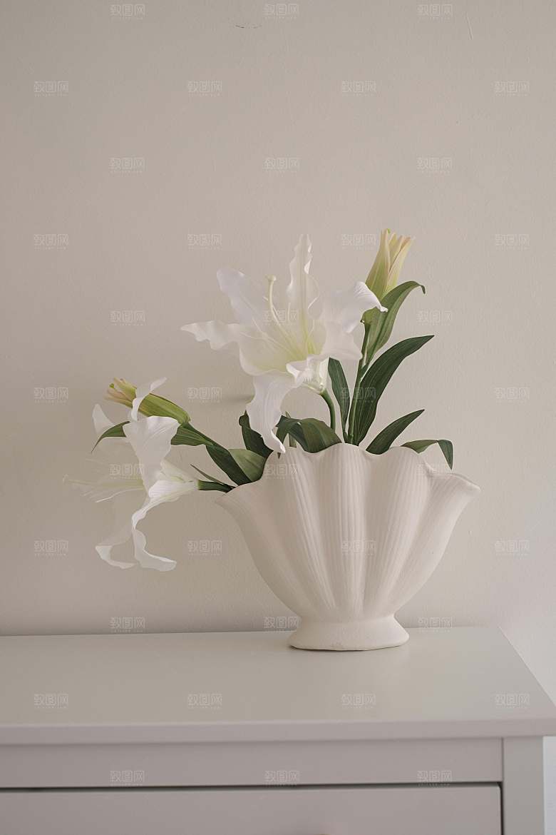 白色鲜花百合花摄影素材