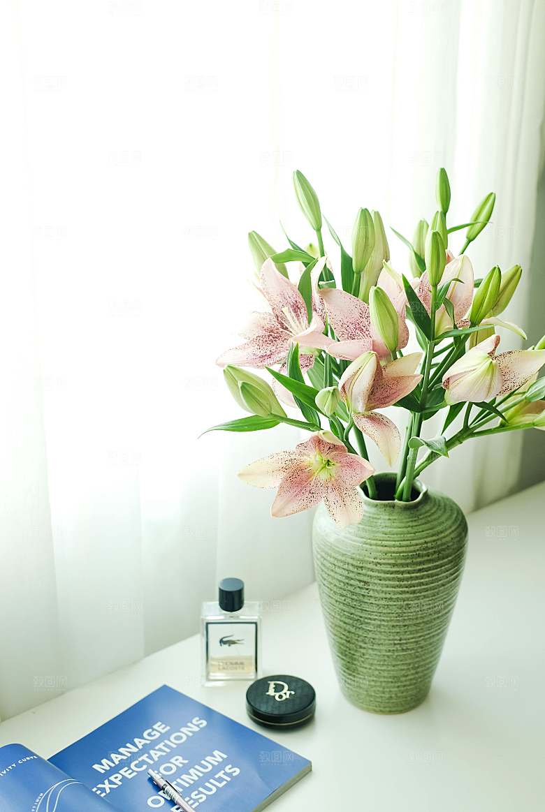 白色鲜花百合花摄影素材