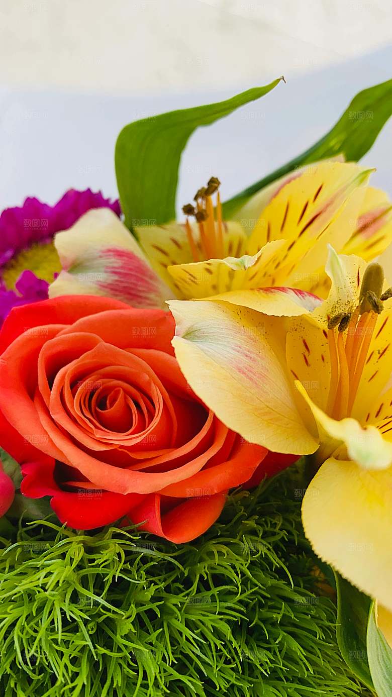 百合鲜花花束摄影素材