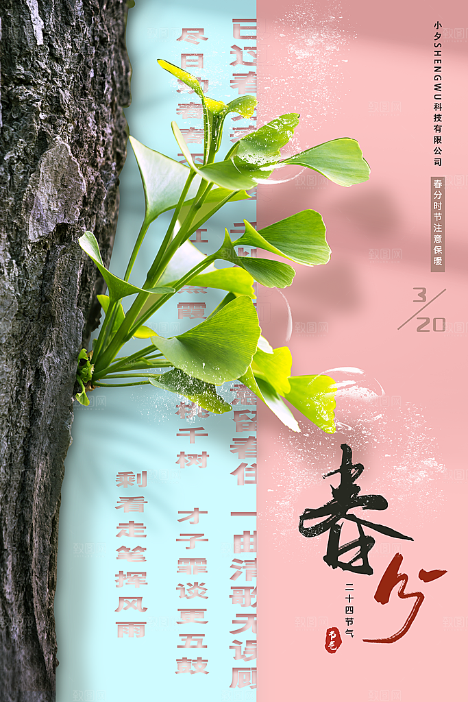 中国传统二十四节气春分节气海报