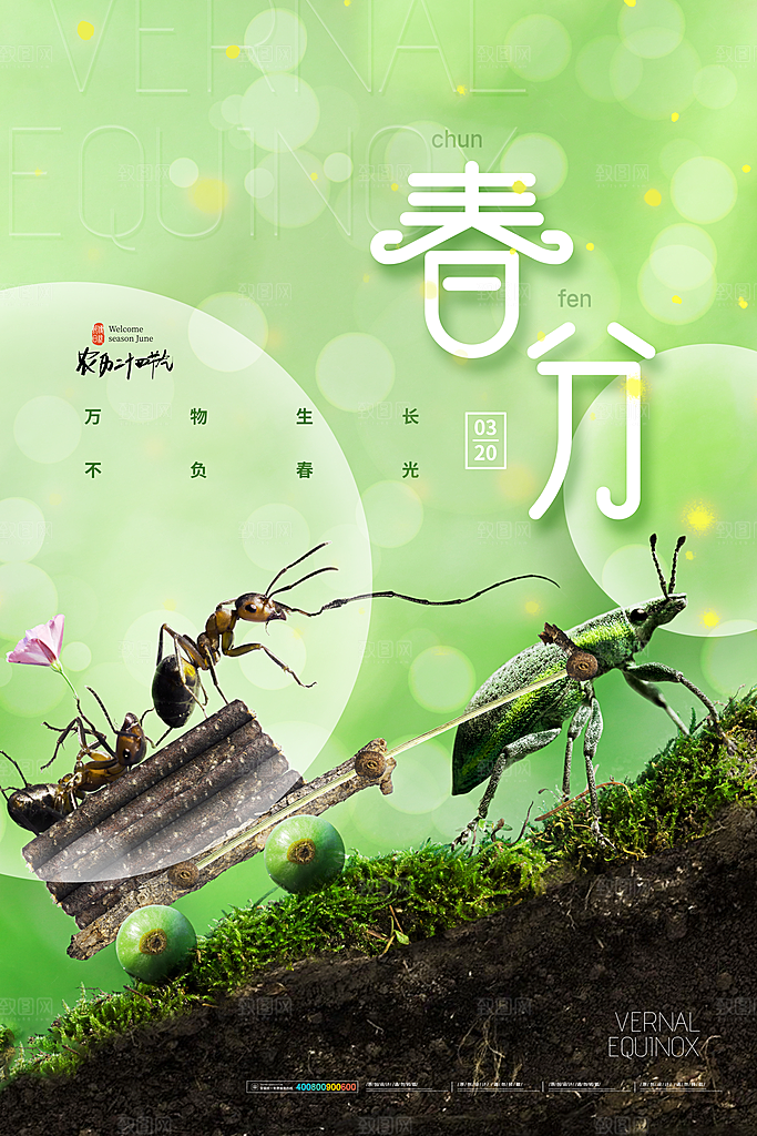 中国传统二十四节气春分节气海报
