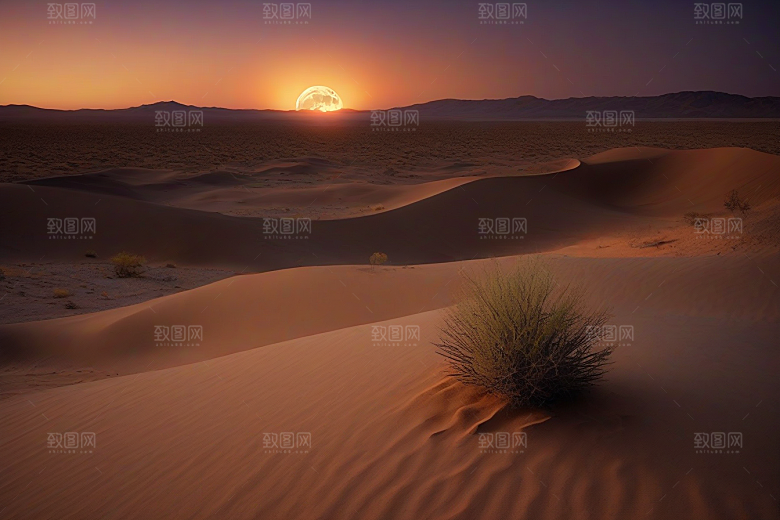 沙漠的韵律在沙丘间舞动的节奏