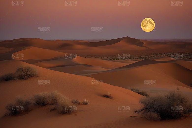 沙漠之夜在星空下翩翩起舞