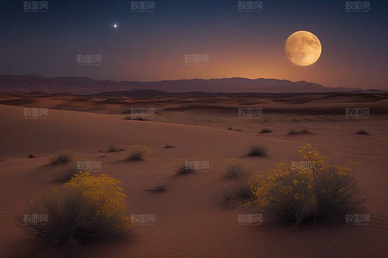 沙漠之夜在星空下翩翩起舞