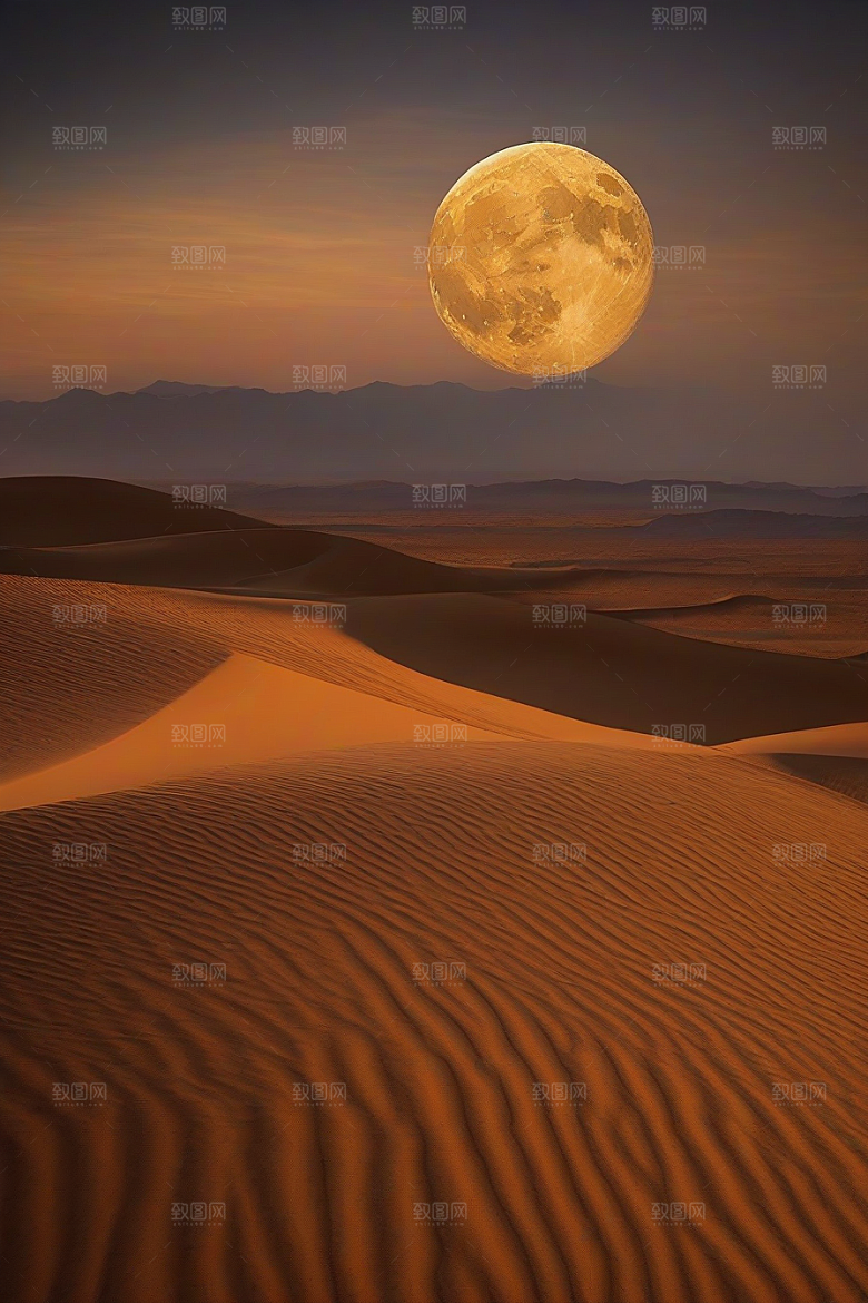 沙漠之夜在星空下翩翩起舞