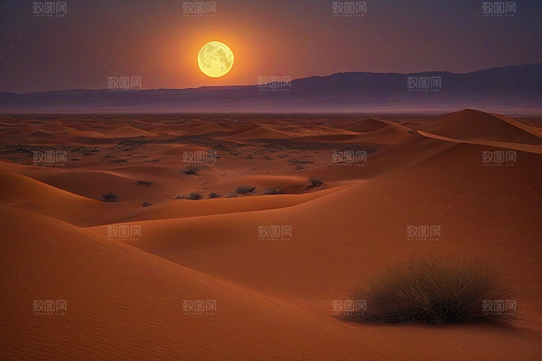 沙漠之夜在星空下翩翩起舞