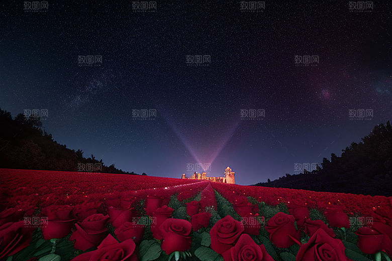 广角梦幻宝石红玫瑰与星空