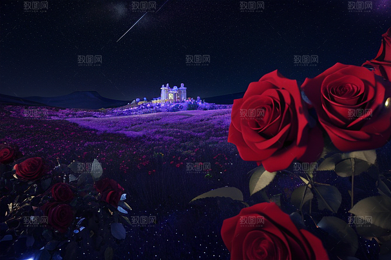 广角梦幻宝石红玫瑰与星空