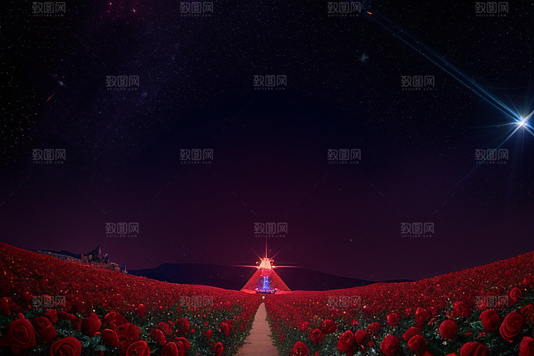 广角梦幻宝石红玫瑰与星空