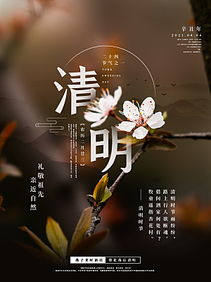 中国传统节日清明节海报