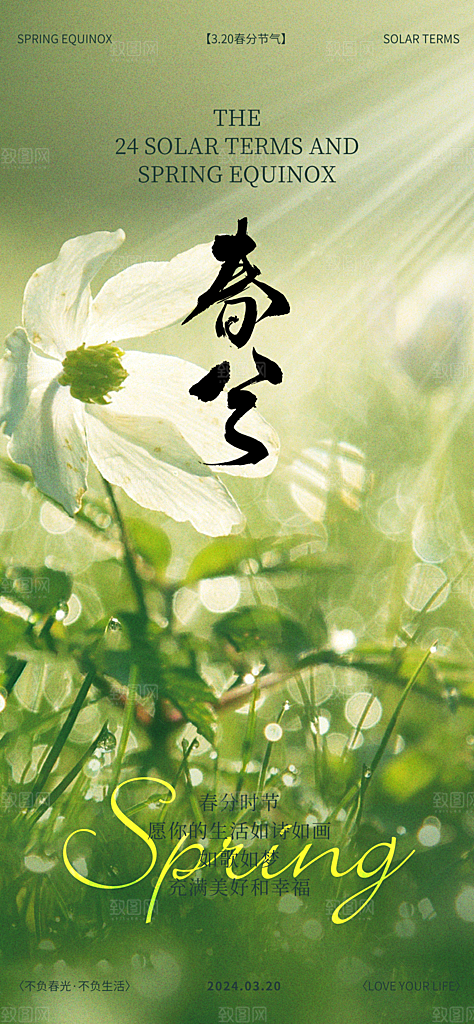 中国传统节气春分春天手机海报