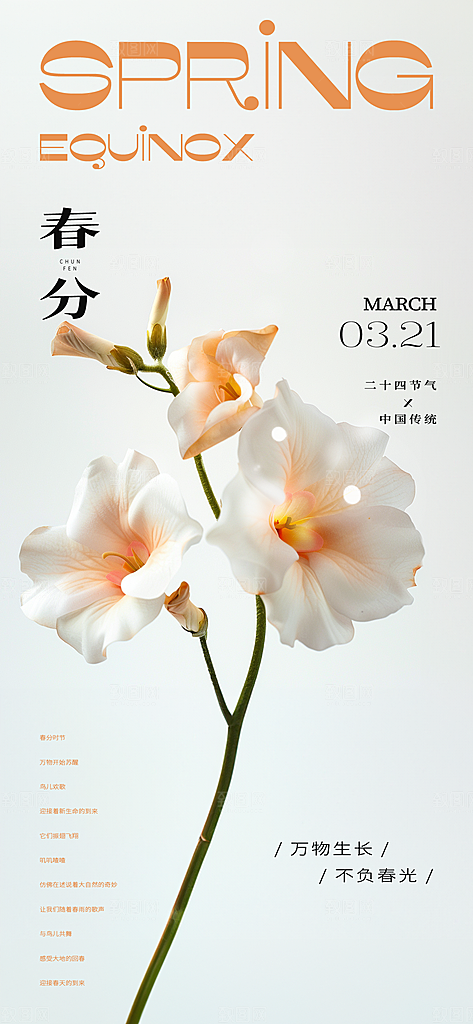 中国传统节气春分手机海报