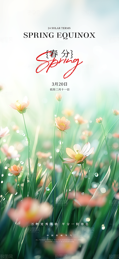 中国传统节气春分春天手机海报
