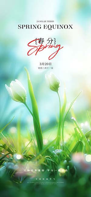 中国传统节气春分春天手机海报