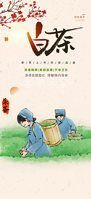 茶叶促销介绍活动海报