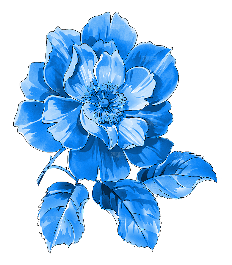 传统青花瓷手艺花卉PNG素材