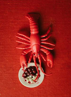 大龙虾鲜虾摄影素材