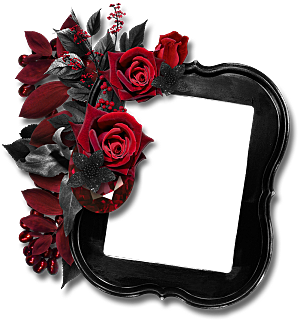 红色玫瑰花鲜花边框免抠素材