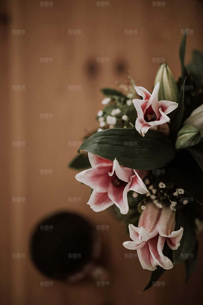 百合鲜花粉色花朵摄影
