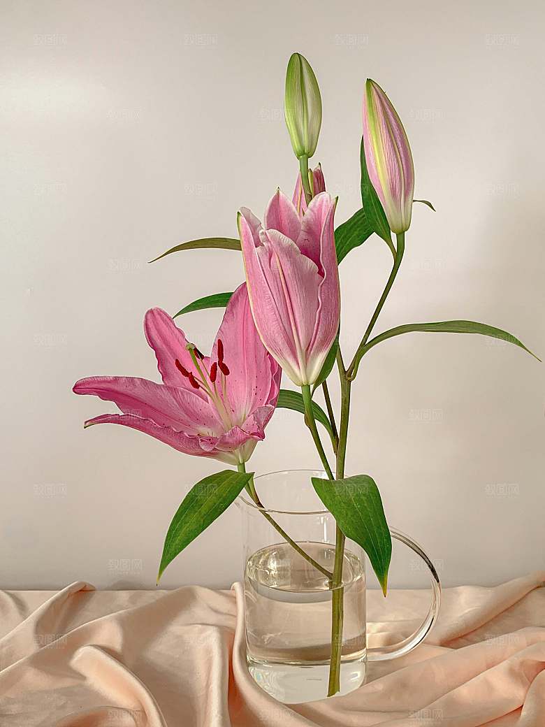 鲜花花朵花卉摄影