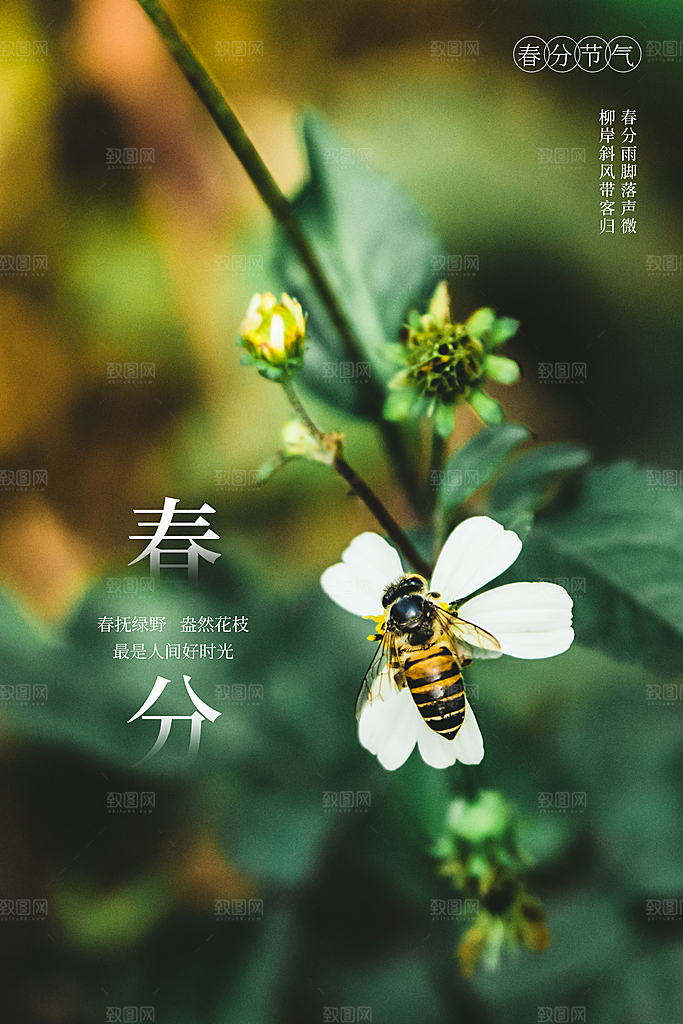 春季春分图片海报
