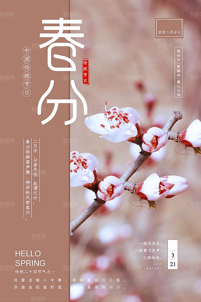 春分节气海报图片