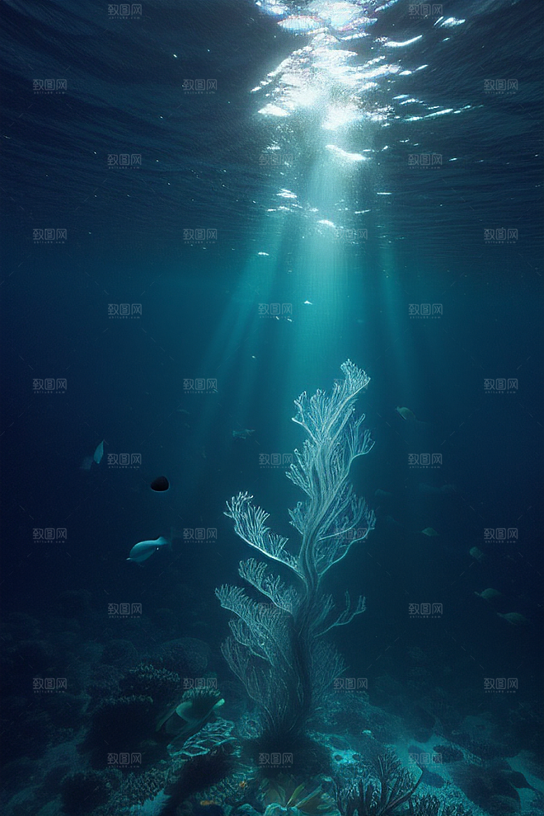 海底珊瑚的多彩世界