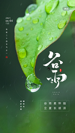 二十四节气传统节日谷雨APP启动页