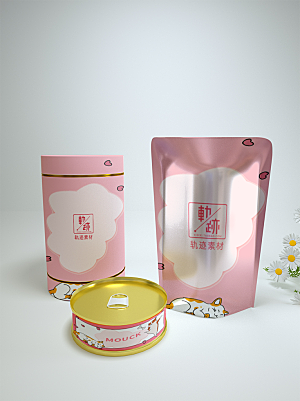 化妆品LOGO礼盒手提箱包装效果样机