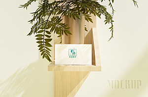 化妆品LOGO礼盒手提箱包装效果样机