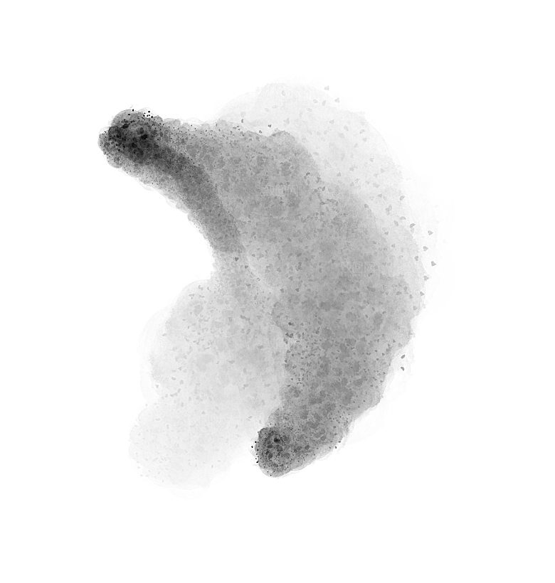 中国风水墨花鸟树木意境元素