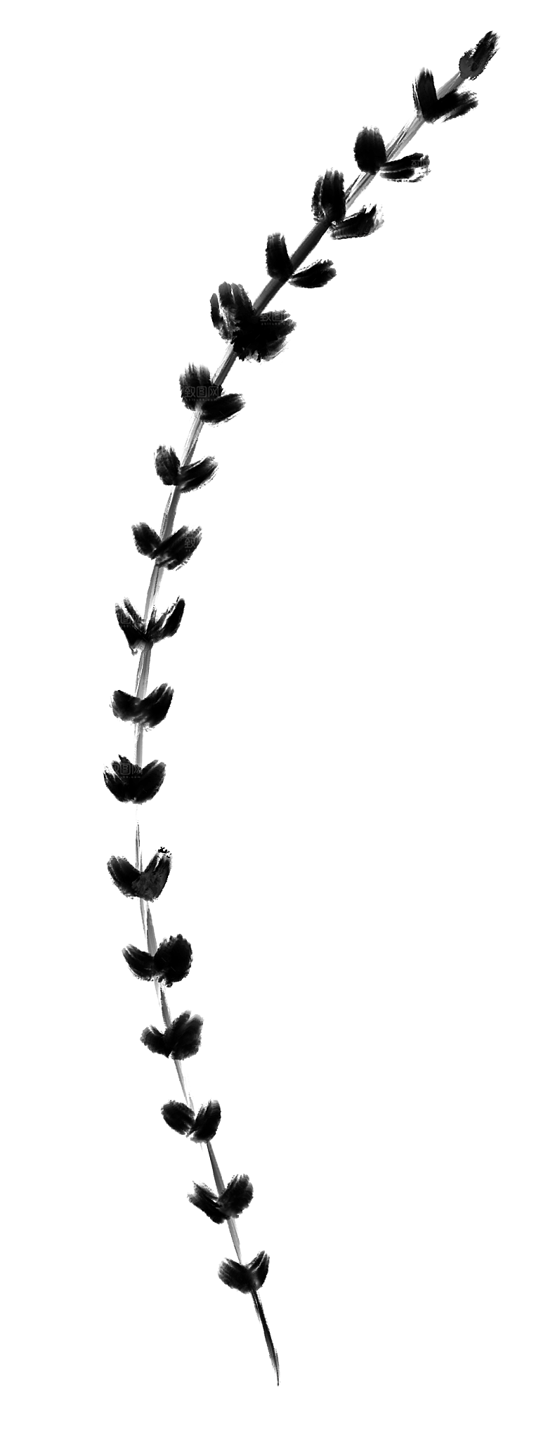 中国风水墨花鸟树木意境元素