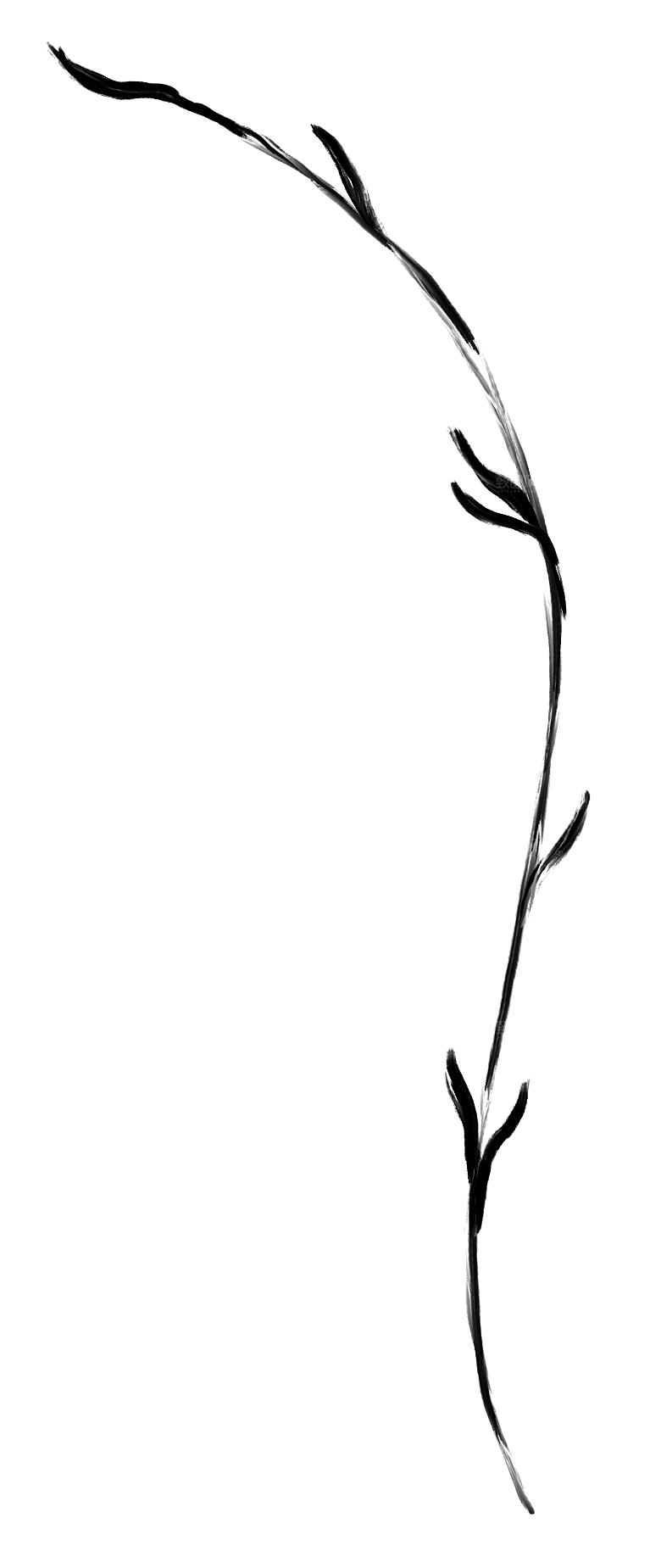 中国风水墨花鸟树木意境元素