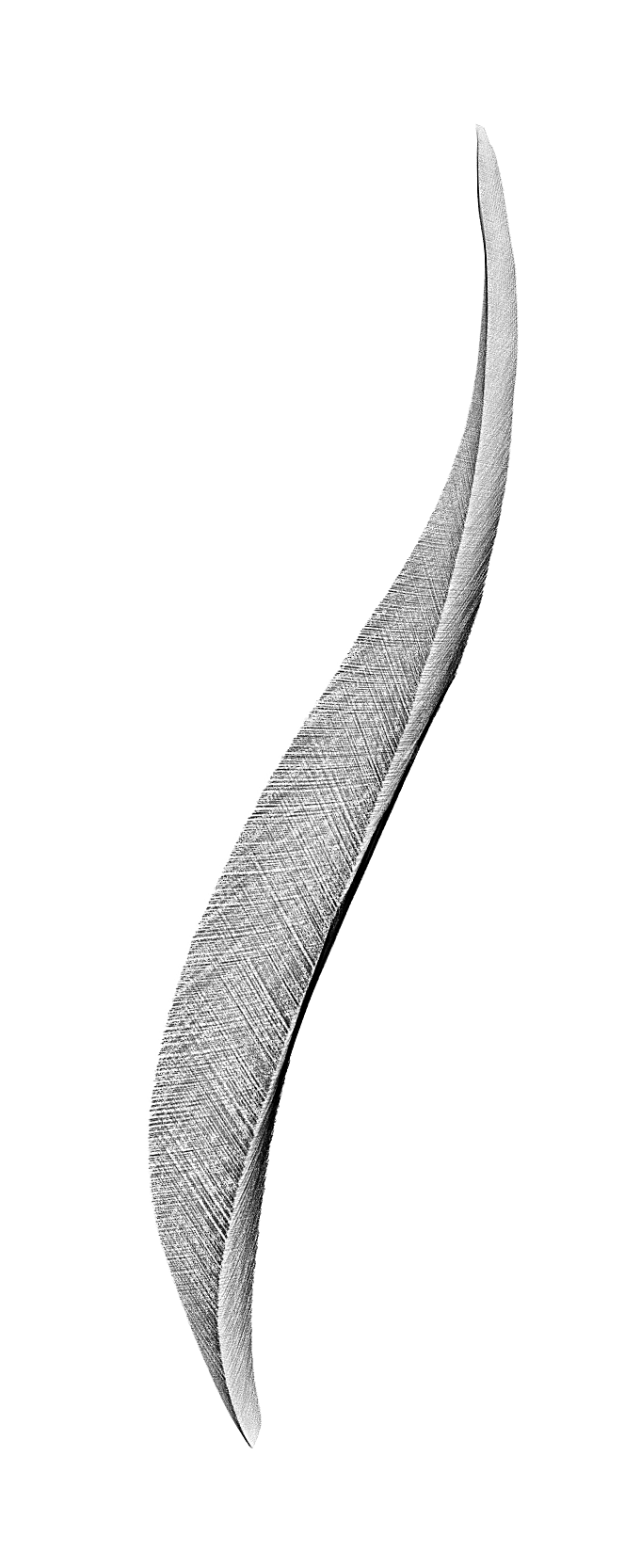 中国风水墨花鸟树木意境元素