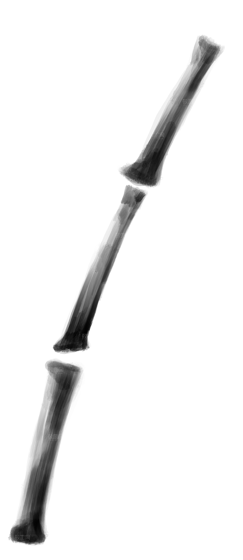 中国风水墨花鸟树木意境元素