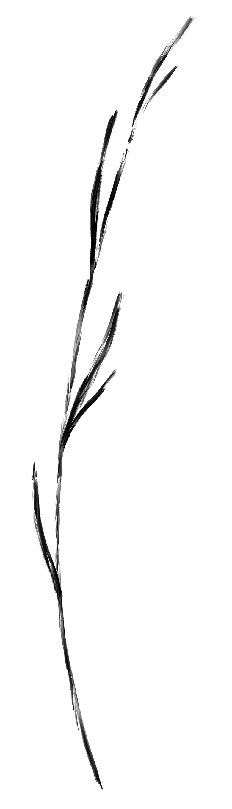 中式传统鱼花草贴图插画