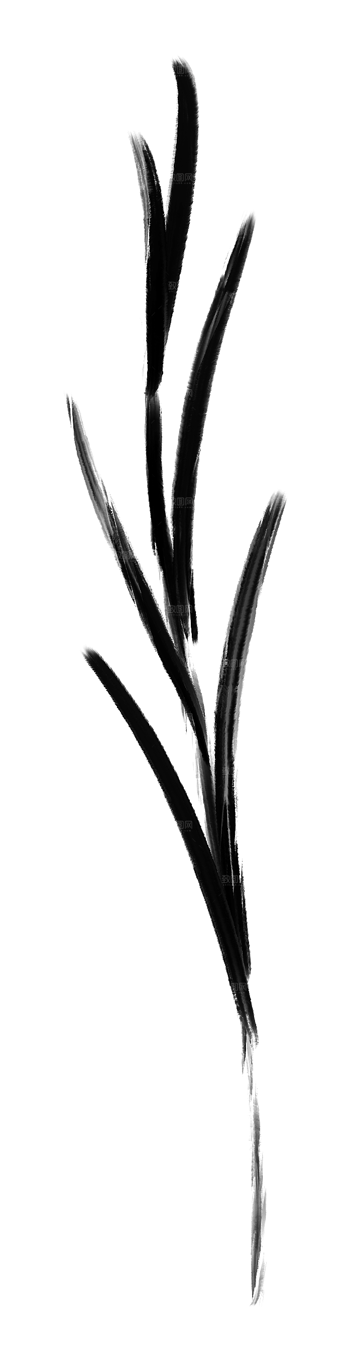 中式传统鱼花草贴图插画