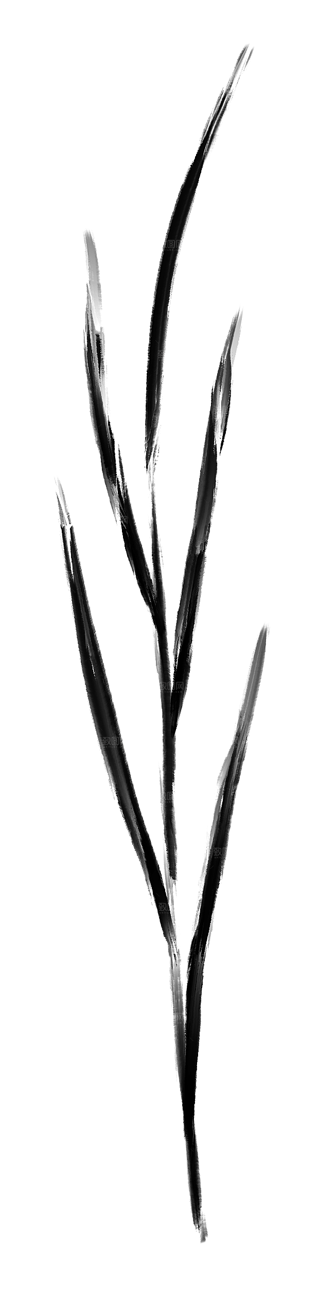 中式传统鱼花草贴图插画