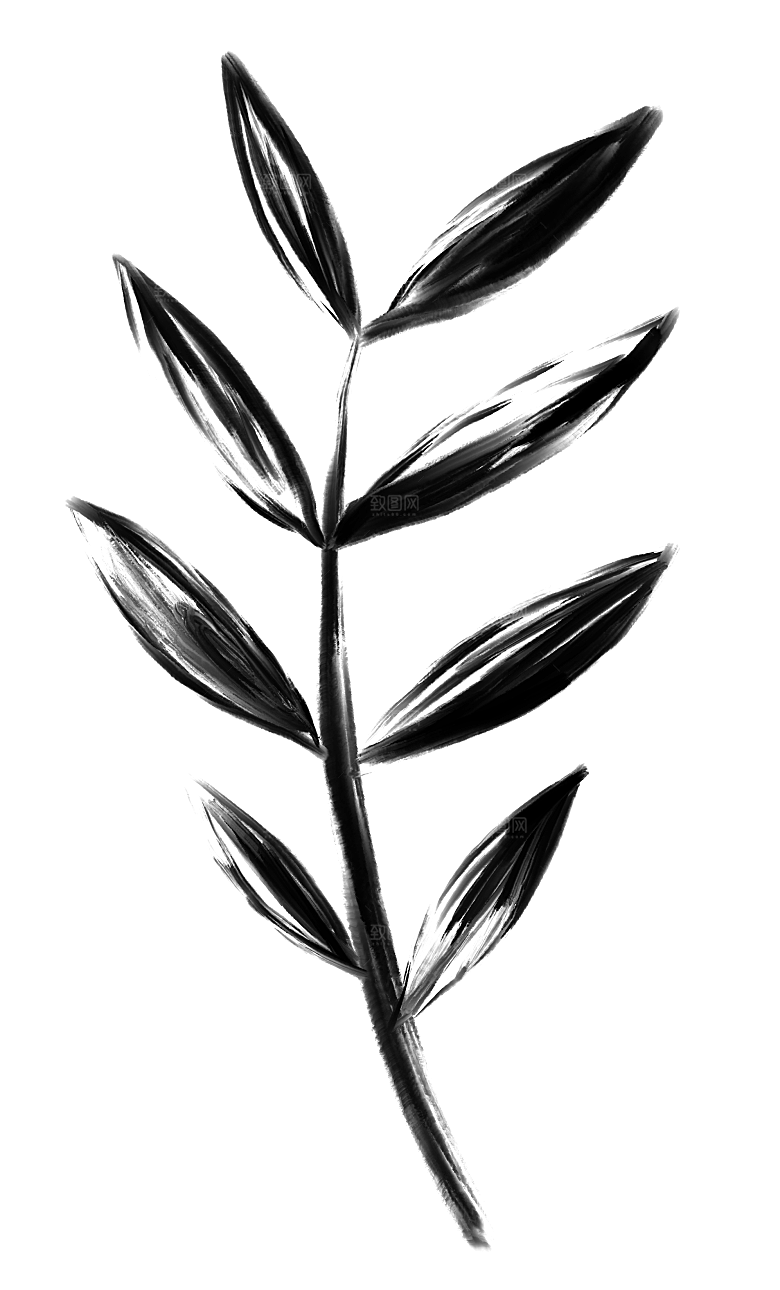 中国风水墨花鸟树木意境元素