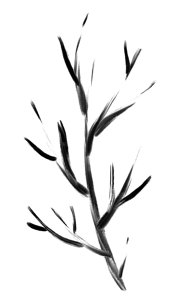 中国风水墨花鸟树木意境元素