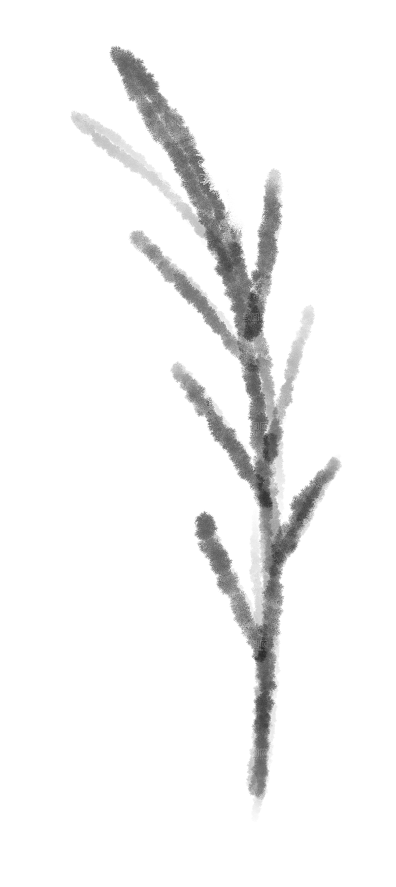 中国风水墨花鸟树木意境元素