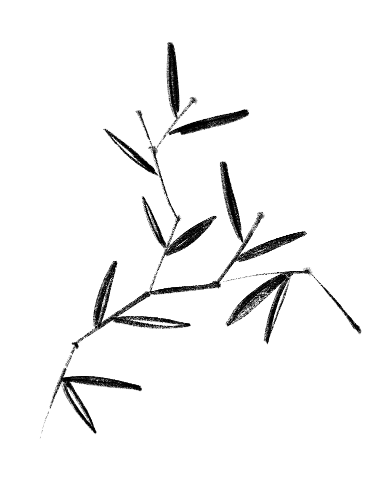 中国风水墨花鸟树木意境元素
