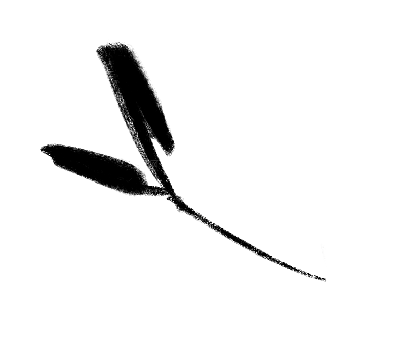 中式传统鱼花草贴图插画