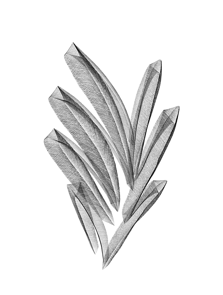 中国风水墨花鸟树木意境元素